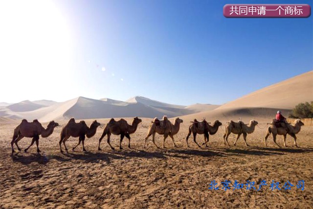 同一個商標(biāo)可以多人共同申請注冊嗎?